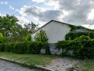 A white house with ivy growing over the side of it