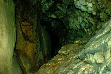 green moss in the cave