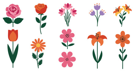 Diverse Hand-Drawn Botanical Flower Set with Dandelions, Sunflowers,  Daisies, Lilies, Daffodils, and Irises etc. 