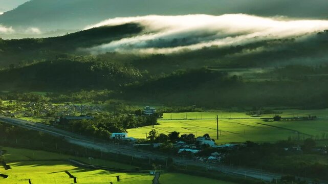 Aerial Panorama Drone Picture of Beautiful rice fields at sunrise, Chihshang Township, Taiwan