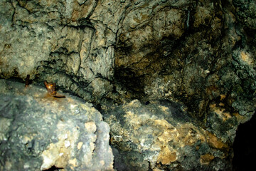 cave