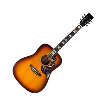 Musical instrument - diagonal view vintage pickguard bird acoustic guitar isolated