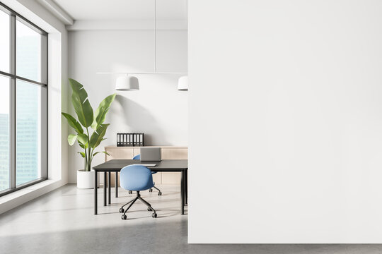 Modern office interior with minimalist design, blue chairs, large windows and green plant beside a white wall in natural light ambiance. 3D Rendering