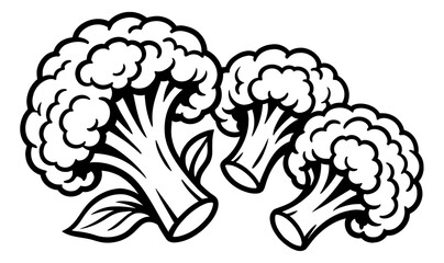 Fototapeta premium Outline Illustration of Three Broccoli Florets in Black and White