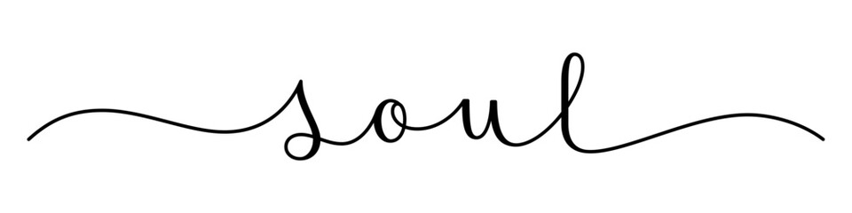 SOUL black vector brush calligraphy banner with swashes on white background