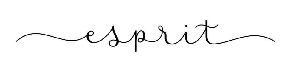 ESPRIT (MIND in French) black vector brush calligraphy banner with swashes on white background