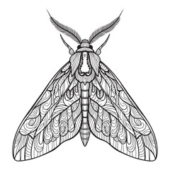 Ornate Black and White Moth Zentangle Illustration
