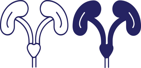 uterus, female reproductive system, anatomical diagram, vector illustration, medical diagram, minimalist style, navy blue