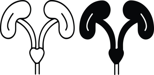 uterus anatomy, medical illustration, black and white, simple line art  female reproductive system, anatomy, medical diagram