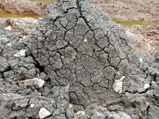 Dried excavated silt soil becomes beautiful