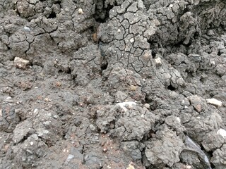 Dried excavated silt soil becomes beautiful