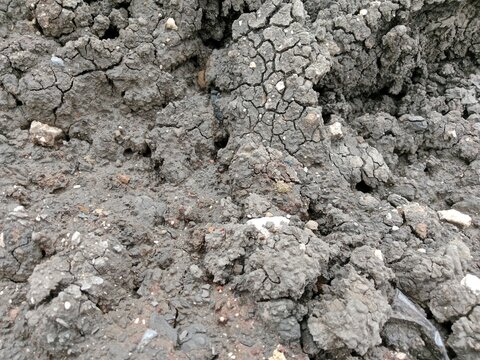 Dried excavated silt soil becomes beautiful