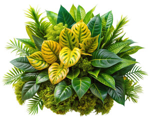 Lush Green and Yellow Artificial Plant Cluster Realistic Vibrant Foliage Arrangement A I Generated isolated on a transparent background