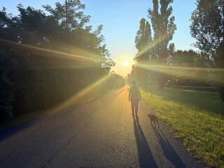 road in the morning