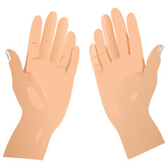 Two hands illustration graphic design with hand gestures and skin tone for creative projects use