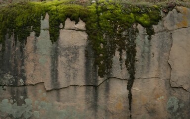 Close-up of a weathered stone texture with subtle moss growth, rich detail, natural light, earthy tones, high-resolution, organic imperfection