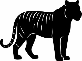 black and white sillhouette of a tiger isolated white background
