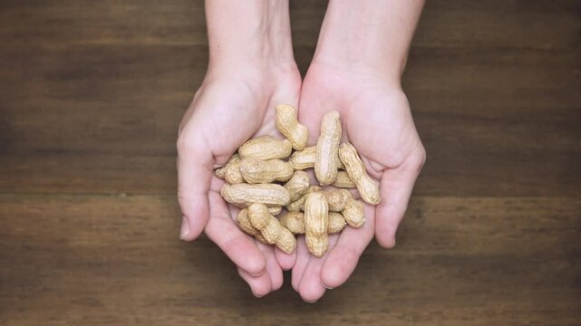 Woman is opening her palms and showing fresh peanuts