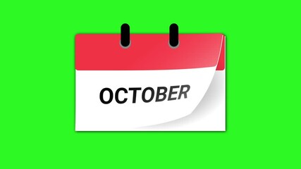 Looping 12-month calendar animation with flat design and green chroma background..