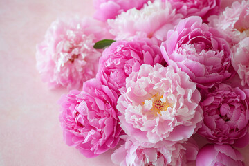 Beautiful pink peonies close up floral arrangement soft background