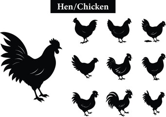 Hen, Chicken silhouette set on transparent background