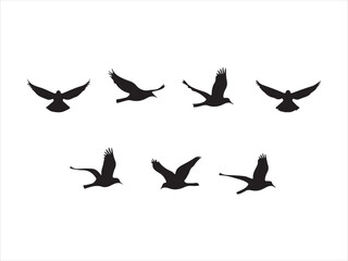 Silhouette illustration of seven birds in flight against a clean white background
