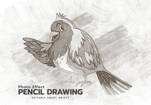 Pencil Drawing Photo Effect