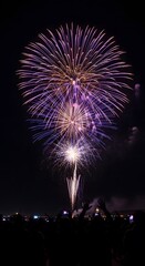 Spectacular Fireworks Display Illuminating Night Sky