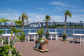 お台場海浜の風景