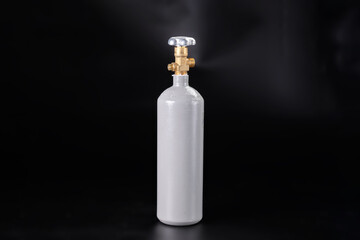 A CO2 tank for an aquarium with plants.