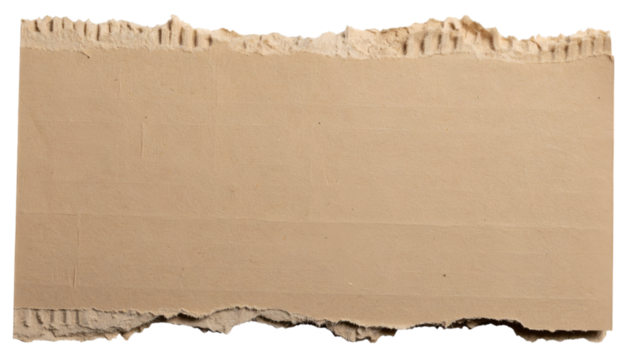Torn Cardboard Texture: This close-up view highlights the textured surface of a piece of torn cardboard, showing its raw edges and the natural details of the material.