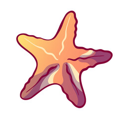 isolated hand drawn  starfish icon vector design