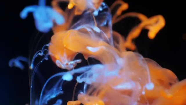 Luminous liquids (luminol, fluorescent dyes) create a variety of colors and luminous effects. Abstract Swirling Colors in Water: Orange and White Fluid Art