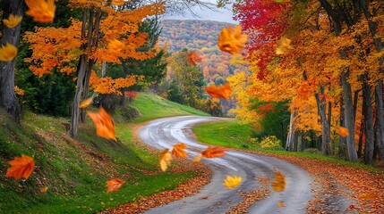 Falling leaves covering winding road in autumn landscape
