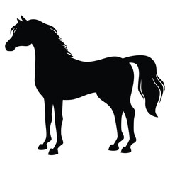 Horse Vector Silhouette in Black and White Style
