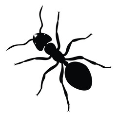 Ant Vector Silhouette Isolated on White Background