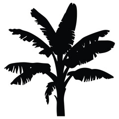 Tropical Banana Tree Vector Silhouette Image