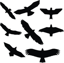 Eagle Silhouette Collection in Vector Design