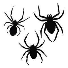 Unique Spider Group Different Style Silhouette Vector