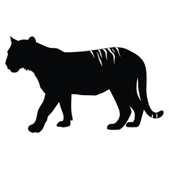 Walking Tiger Silhouette Vector Graphic Design Art