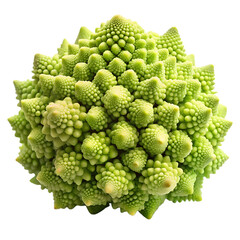 Fresh Romanesco Broccoli Fractal Pattern  isolated on transparent background