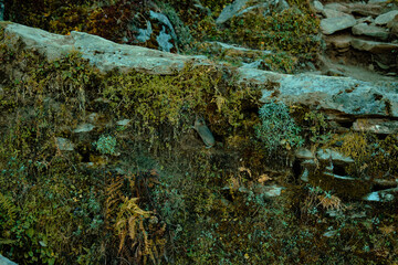 rusty metal surface