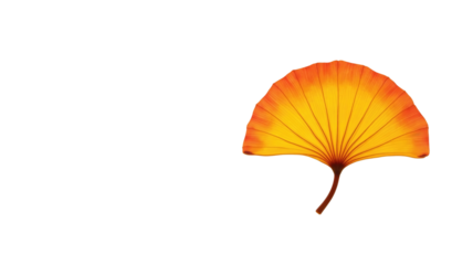 Yellow Ginkgo Leaf transparent background png