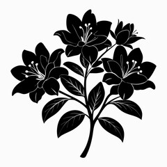 black and white flower