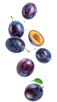 Ripe plums tumbling, displaying juicy flesh and dark pit against transparent surface