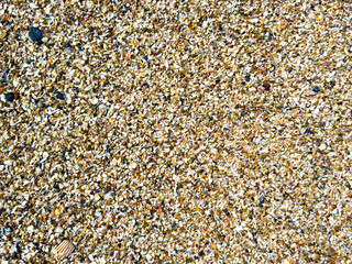 Closeup texture of crushed shells and pebbles on beach