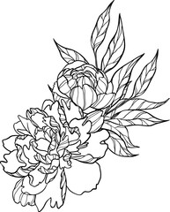 Elegance outline arrangement with vector flowers isolated.