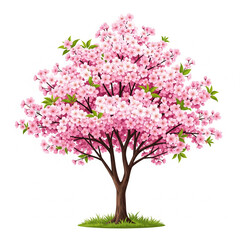 Obraz premium tree with pink flowers