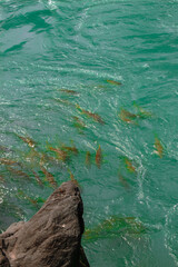 sea and rocks