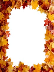 autumn leaves frame